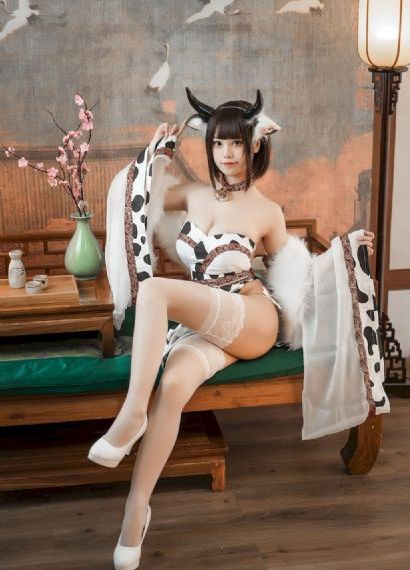 完美世界樱花动漫免费观看