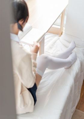 美丽小蜜蜂