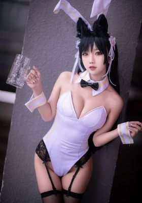 猫和老鼠动漫